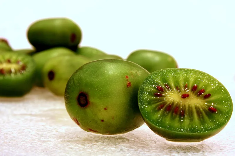 Cultivo de Kiwiberry / kiwiño