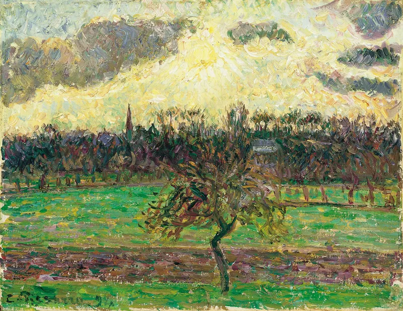 Cultivo de Gramíneas (prados de siembra)