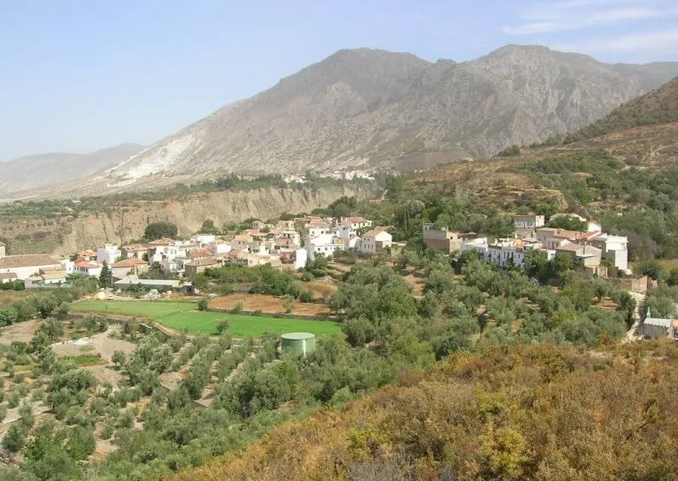 Cultivo de Acequias