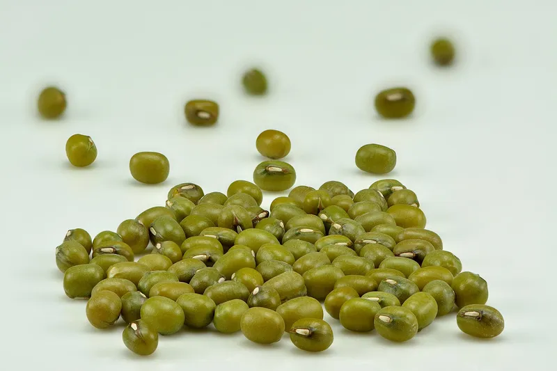 Cultivo de Garbanzo verde