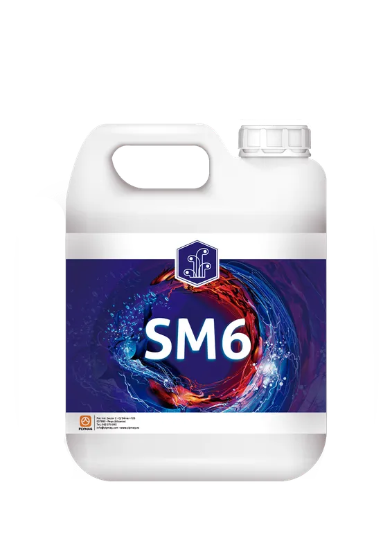 Imagen oficial de SM6