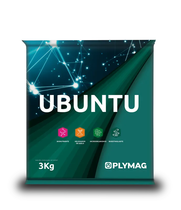 Imagen oficial de Ubuntu