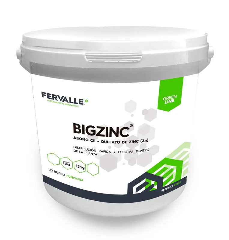Imagen oficial de BIGZINC