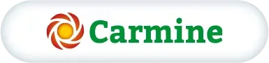Imagen oficial de Carmine