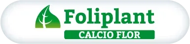Imagen oficial de Foliplant Calcio Flor