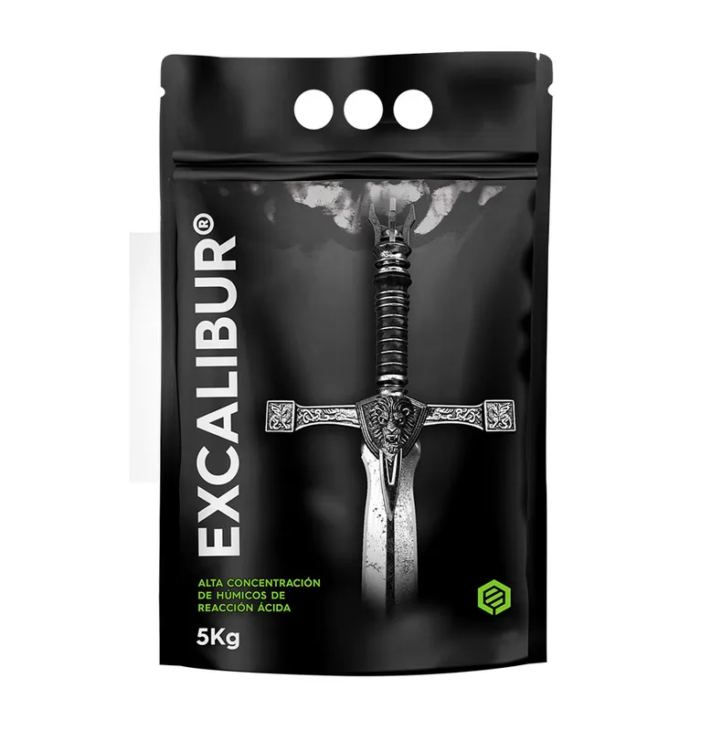 Imagen oficial de EXCALIBUR