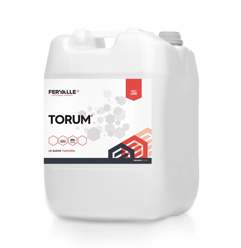 Imagen oficial de TORUM