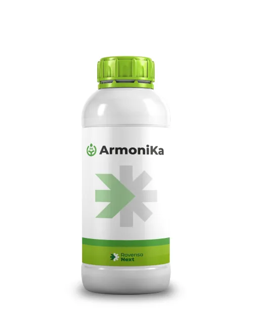 Imagen oficial de Armonika neo