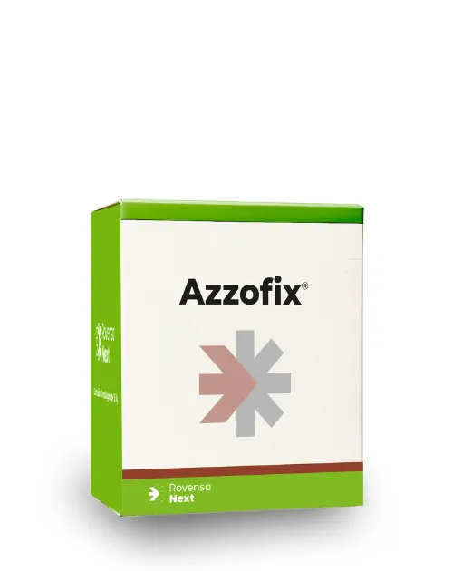 Imagen oficial de Azzofix