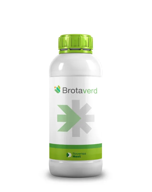 Imagen oficial de Brotaverd