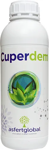 Imagen oficial de Cuperdem