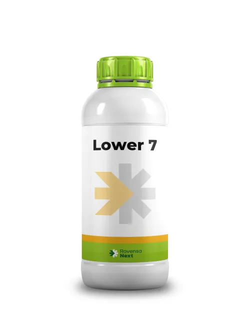 Imagen oficial de Lower 7