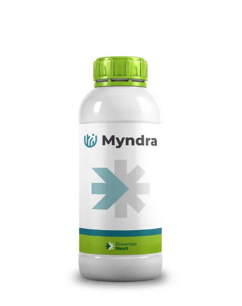 Imagen oficial de Myndra