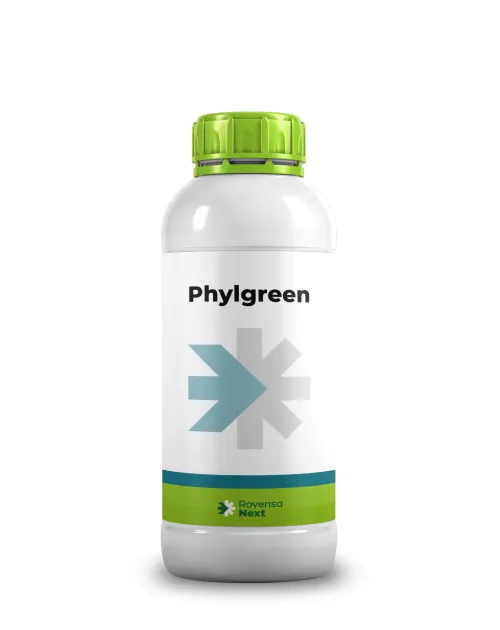 Imagen oficial de Phylgreen