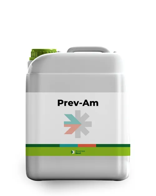 Imagen oficial de Prev-Am