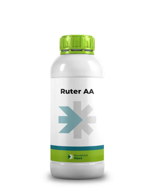 Imagen oficial de Ruter AA