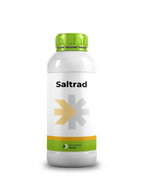 Imagen oficial de Saltrad