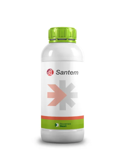 Imagen oficial de Santem