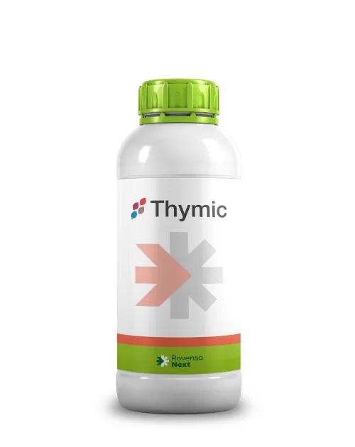 Imagen oficial de Thymic