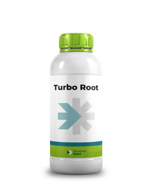 Imagen oficial de Turbo Root