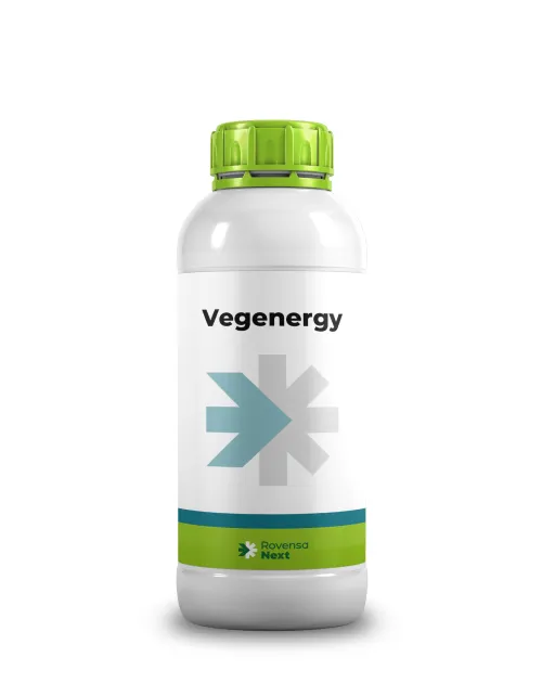 Imagen oficial de Vegenergy