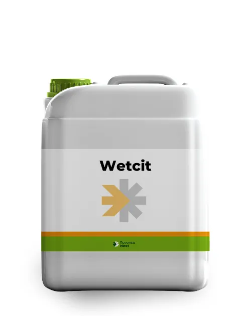 Imagen oficial de Wetcit