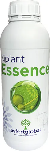Imagen oficial de Kiplant Essence