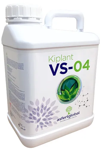 Imagen oficial de Kiplant VS-04