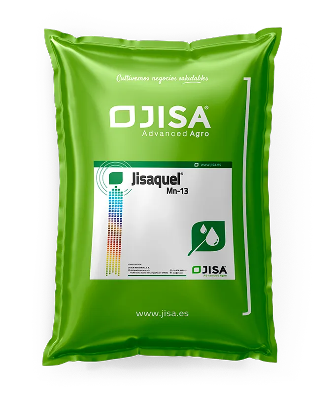 Imagen oficial de Jisaquel Mn-13