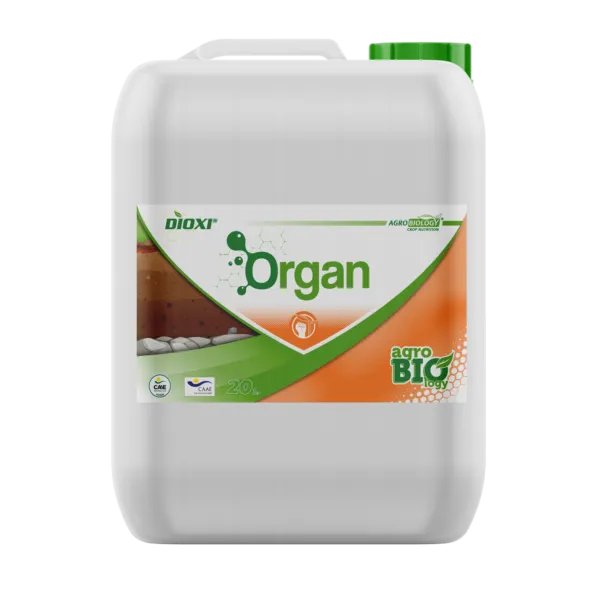 Imagen oficial de Dioxi ORGAN