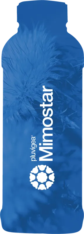 Imagen oficial de Mimostar