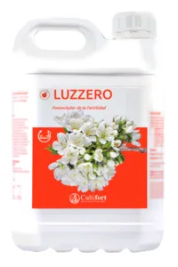 Imagen oficial de LUZZERO