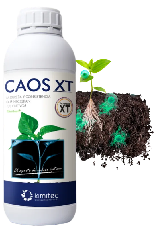 Imagen oficial de Caos XT