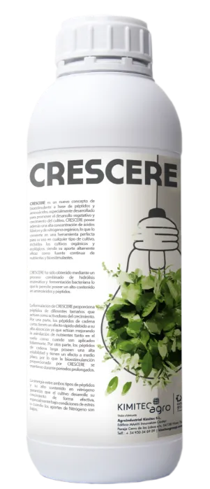 Imagen oficial de Crescere