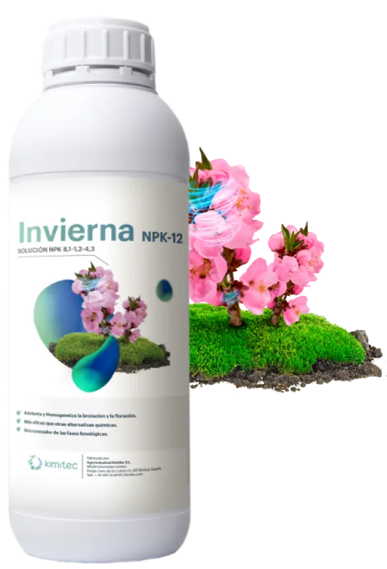 Imagen oficial de Invierna