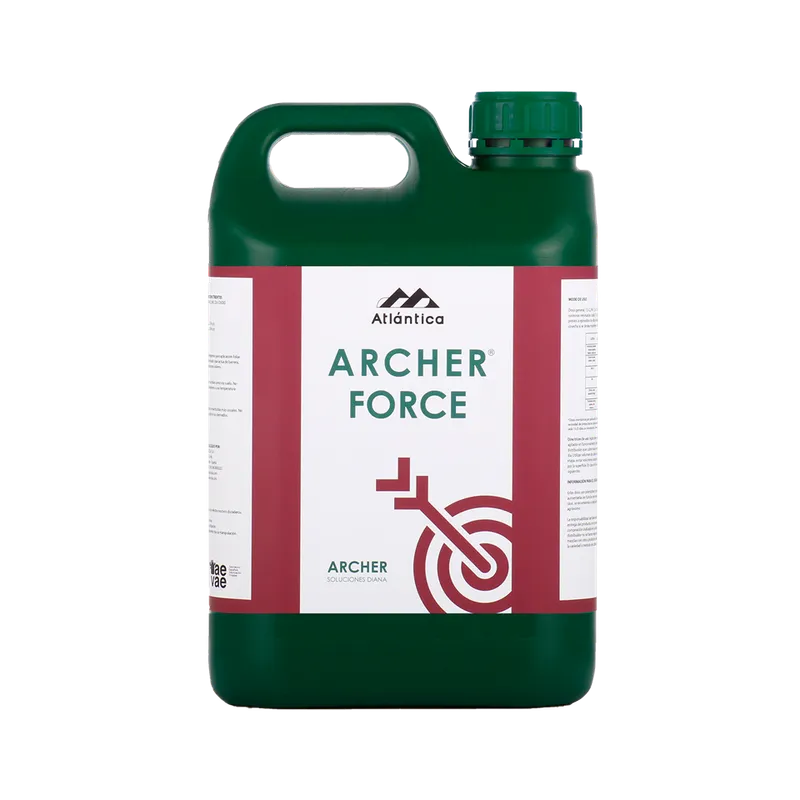 Imagen oficial de Archer Force