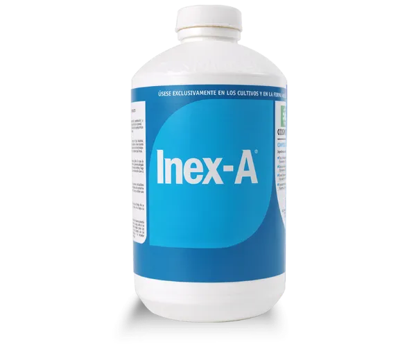 Imagen oficial de Inex-A