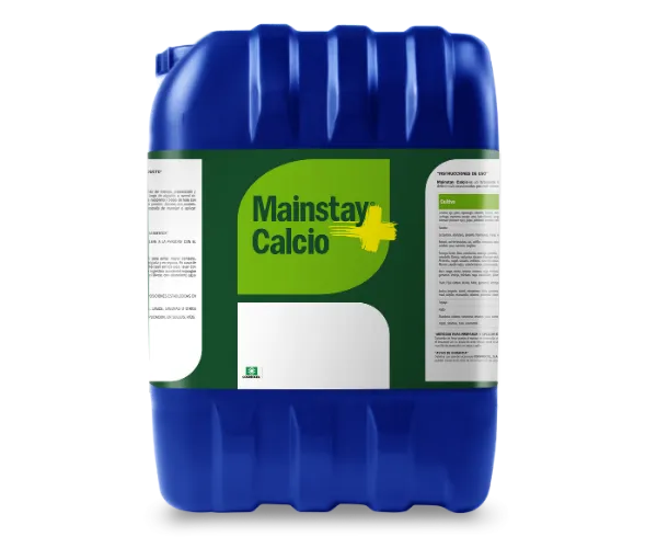 Imagen oficial de MainstaY Calcio +