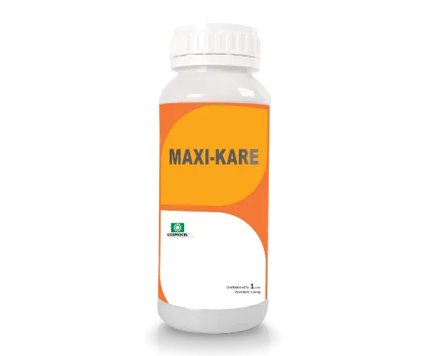 Imagen oficial de Maxi-Care