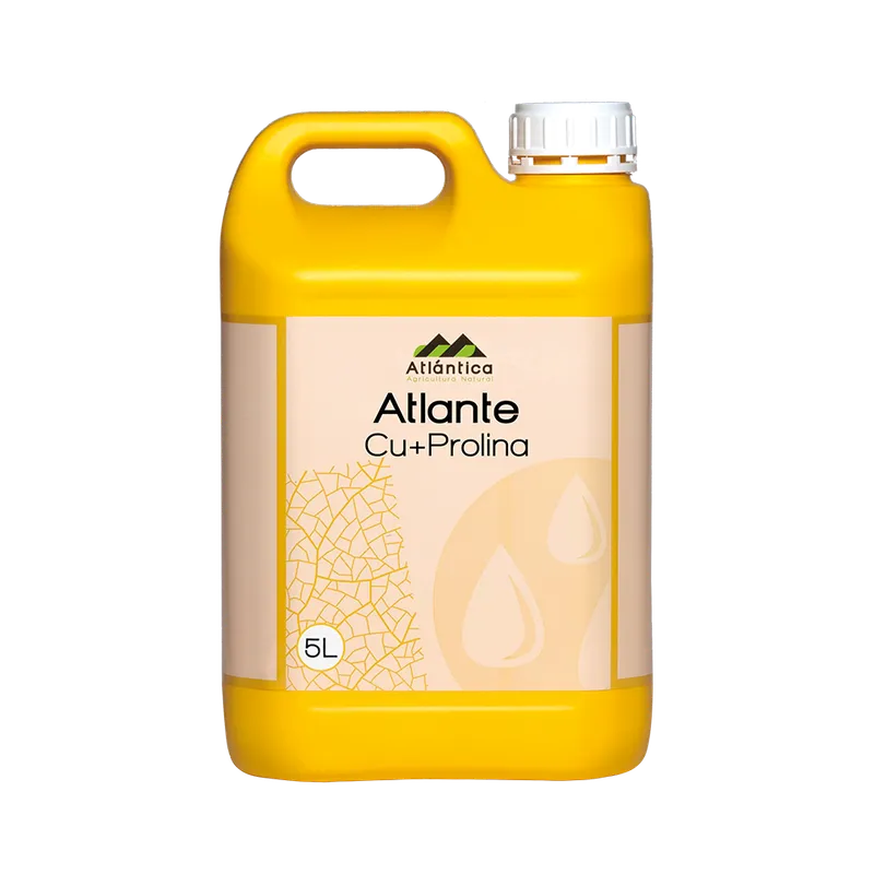Imagen oficial de ATLANTE Cu+Pro