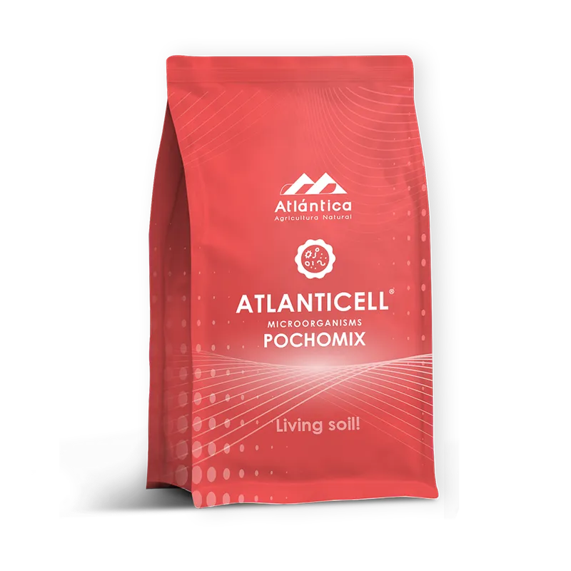 Imagen oficial de Atlanticell Pochomix