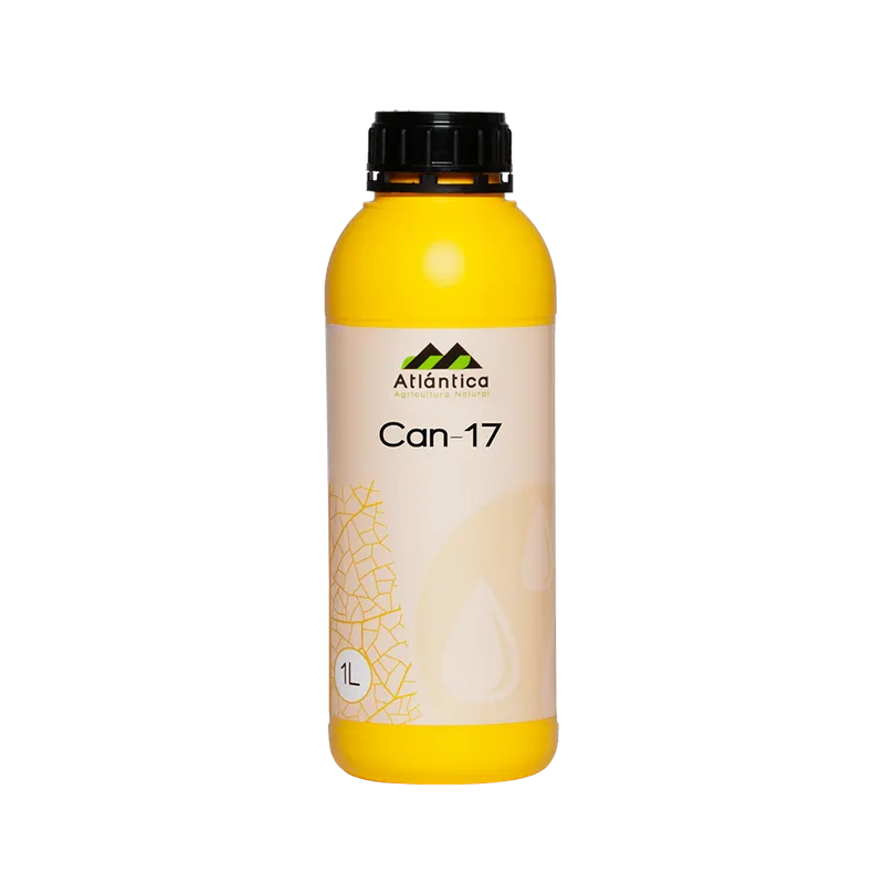 Imagen oficial de Can-17