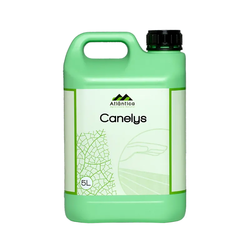 Imagen oficial de Canelys