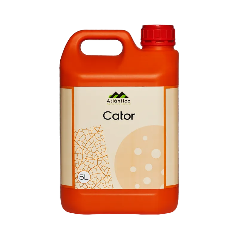 Imagen oficial de Cator