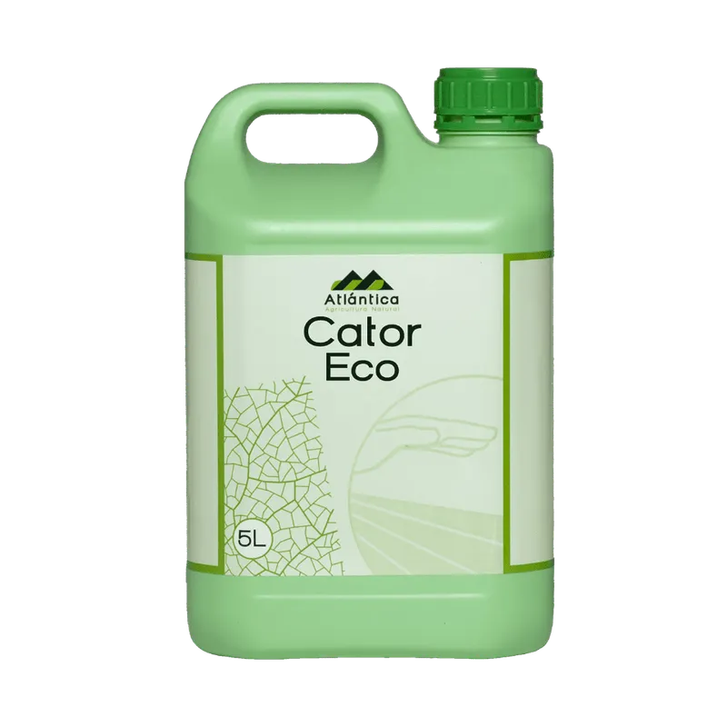 Imagen oficial de Cator Eco