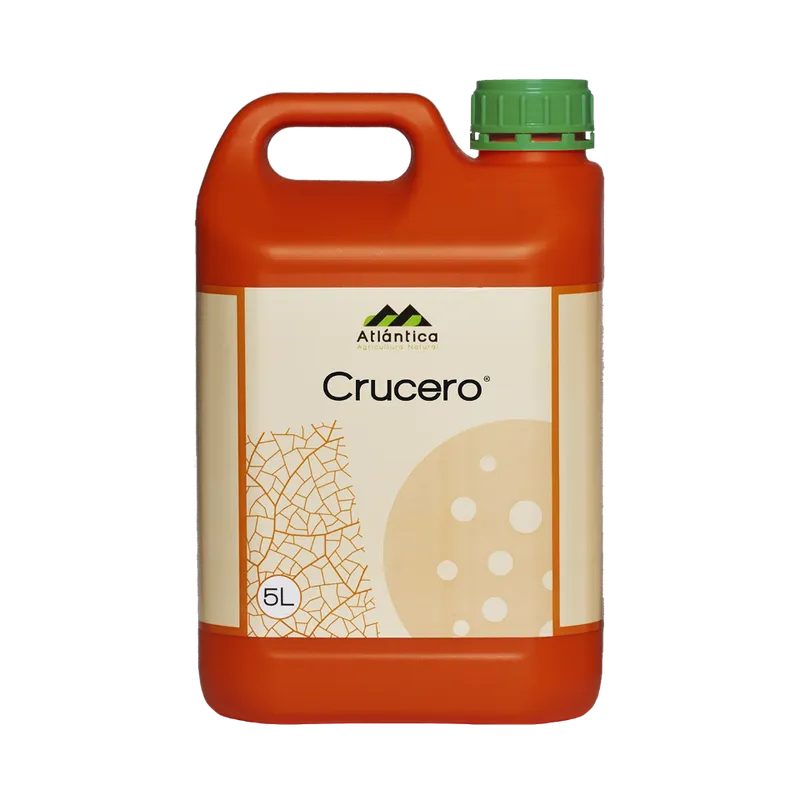 Imagen oficial de Crucero