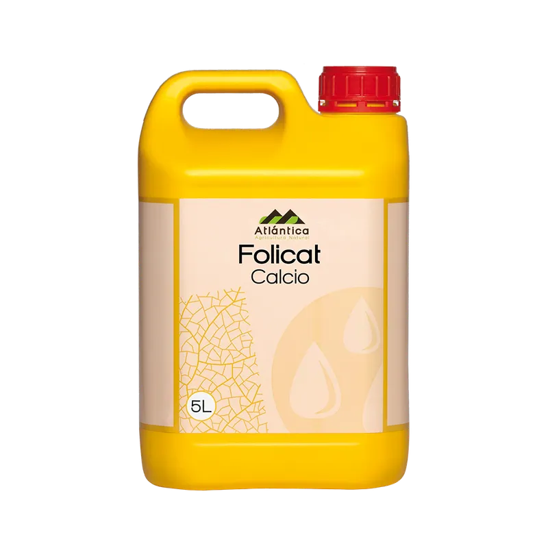 Imagen oficial de Folicat Calcio