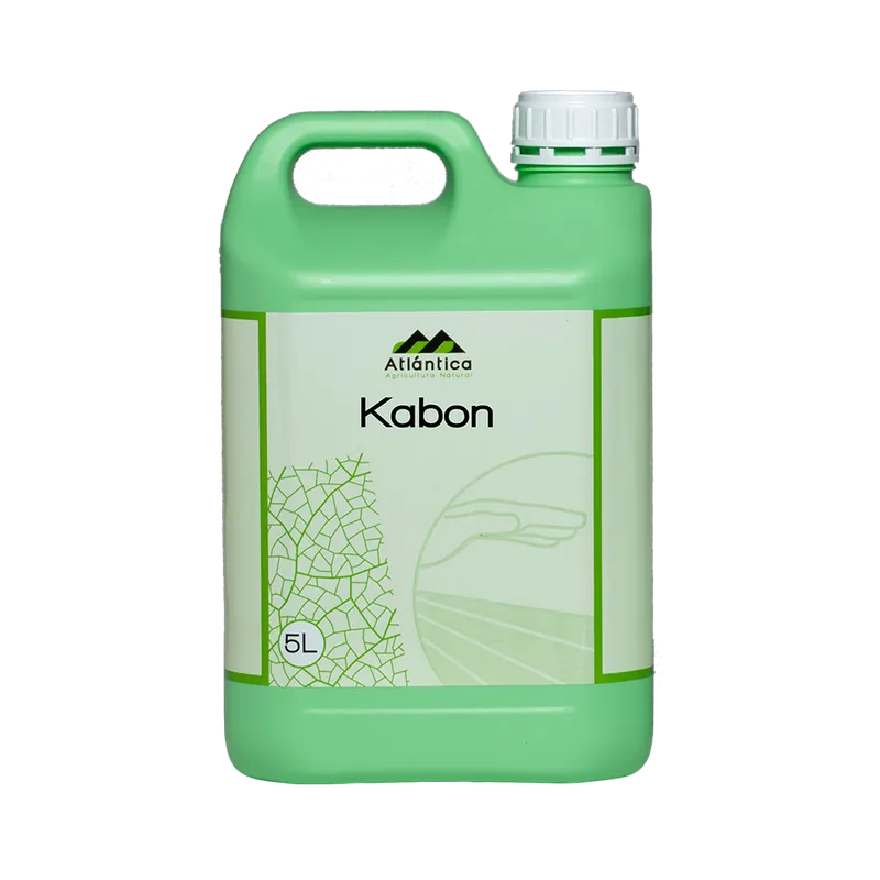 Imagen oficial de Kabon