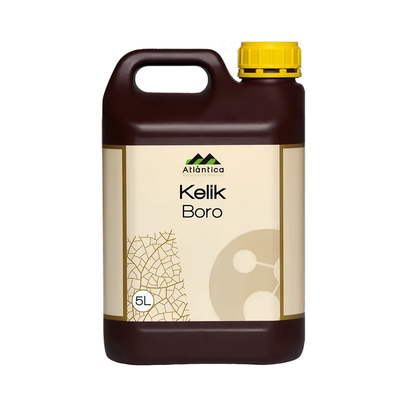 Imagen oficial de Kelik Boro