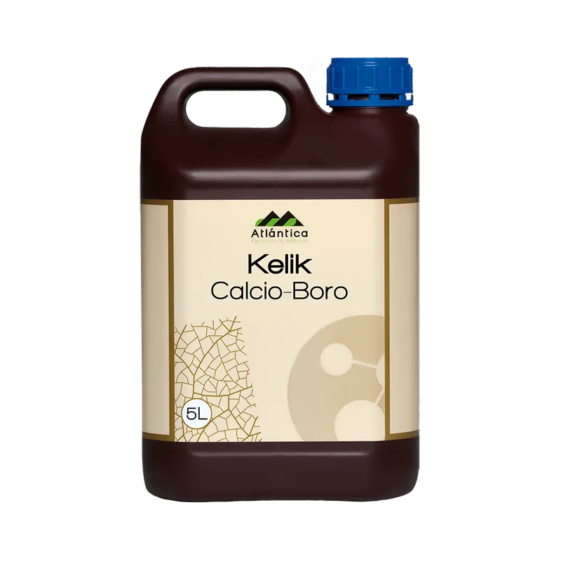 Imagen oficial de Kelik Calcio-Boro